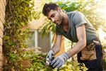 Tuinonderhoudsdiensten van Tuinwerken Mike