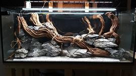 Golden wood 70-90cm aquarium decoratie hout