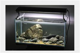 Brook stone 10-15cm - aquarium decoratie stenen