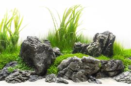 Grey Luo Hanshi 20-30cm - aquarium decoratie stenen