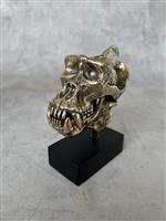 sculptuur, NO RESERVE PRICE - Gorilla Skull Sculpture - 15 cm - Brons