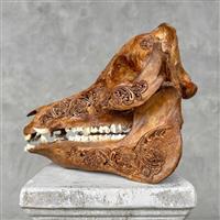 GEEN RESERVEPRIJS - Ingewikkeld met de hand gesneden schedel van een wild zwijn - Ketupat-motief - G