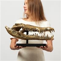sculptuur, Saltwater Crocodile Skull 50cm - 24 cm - Brons