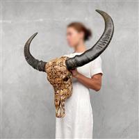 C - Authentieke grote handgesneden grote bruine waterbuffelschedel - Menselijke schedelmotief- Gesne
