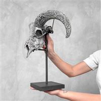 GEEN RESERVEPRIJS - Skull Art - Volledig gesneden grijze ramschedel op een aangepaste standaard - Ge