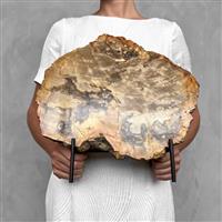 GEEN RESERVEPRIJS - Prachtig stuk versteend hout met standaard - Gefossiliseerd hout - Petrified Woo