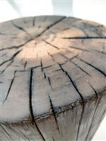 THE FOREST Art & Woodworking Studio - Salontafel - Grenen massief hout