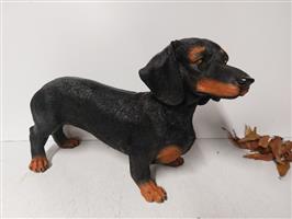 Beeld, fine lifelike statue of a dachshund - 31 cm - polyresin