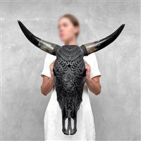 GEEN RESERVEPRIJS - Skull Art - Authentieke handgesneden Black Bull Skull - Badong-motief Gesneden s