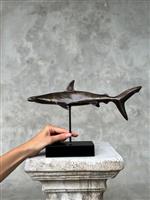 sculptuur, NO RESERVE PRICE - Bronze Hammerhead Shark on a stand - Sphyrnidae - 23 cm - Brons
