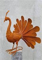 Beeldje - Rusty Peacock - IJzer (gesmeed)