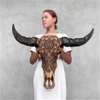 GEEN RESERVEPRIJS - C- Grote handgesneden bruine waterbuffelschedel - Mandala Boho-motief - Gesneden