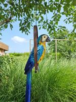 Beeldje - A parrot on swing - metaal
