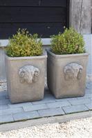 Pot Bloembak Beton Ramskop H40 x B33 Cm