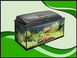 Classic box 80 recht aquarium