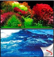 Osaka achterwandposter Ocean/Ruby  zelfklevend
