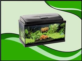 AQUA4 START 60 recht aquarium set compleet