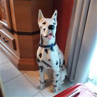 deense dog