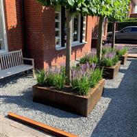 Cortenstaal plantenbak zonder bodem