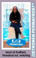 game of icethrones verhuur frozen ijstroon hasselt