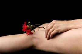 fotoshoot -