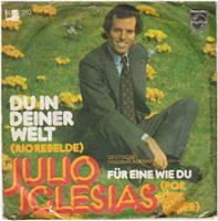 JULIO IGLESIAS: Du in deiner Welt (in het Duits)