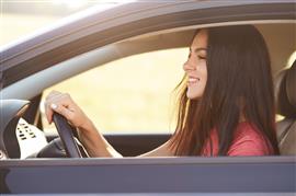 Online Diensten voor Rijbewijs 