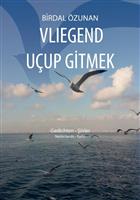 Vliegend uçup gitmek