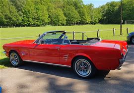 Te koop Ford Mustang