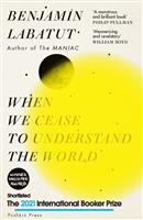 When we cease to understand the world
