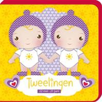 Tweelingen sterrenbeeldboekje