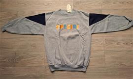 Lichtgrijze Sportieve Sweater met Accenten Med-L