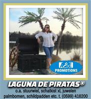 originele pirates caribbean schatkist replica huur