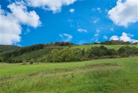 Ardennen 6997 Erezee : bouwgrond, 10a 13ca.