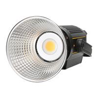 Godox VL200