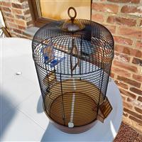Vogelkooi met toebehoren