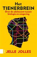 Het tienerbrein