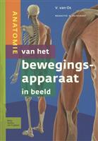 Anatomie van het bewegingsapparaat in beeld