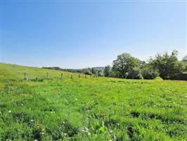 6830 Les Hayons : grond van bijna 1,5 hectare.