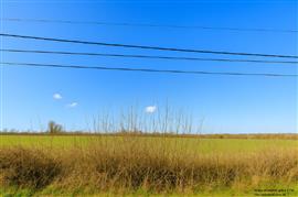 6594 Beauwelz : bouwgrond, 10a 75ca.