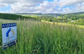 Ardennen 6970 Tenneville : bouwgrond, 14a79ca.