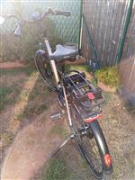 Electrische fiets merk Das E-bike 010