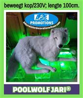 bewegende vitrine ijsbeer leuven brussel poolwolf