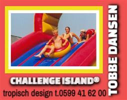 huur tobbedansbaan challenge island incl. palmen 