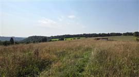 6830 LES HAYONS - Bouillon: Prachtig grote grond.