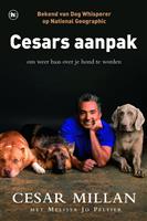 Cesars aanpak
