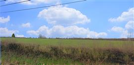 Regio Chimay : bouwgrond, 10a 75ca.