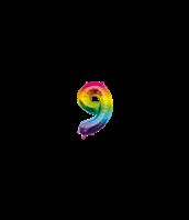 Folie Ballon 40cm 9 Regenboog