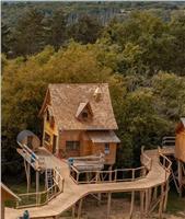Boomhut met sauna, 4 personen NIEUW