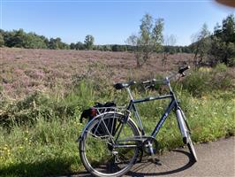 Fiets tekoop
